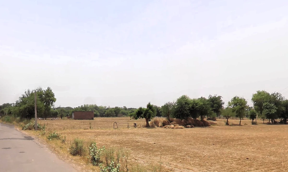 Shikarpur, Haryana 122105, India