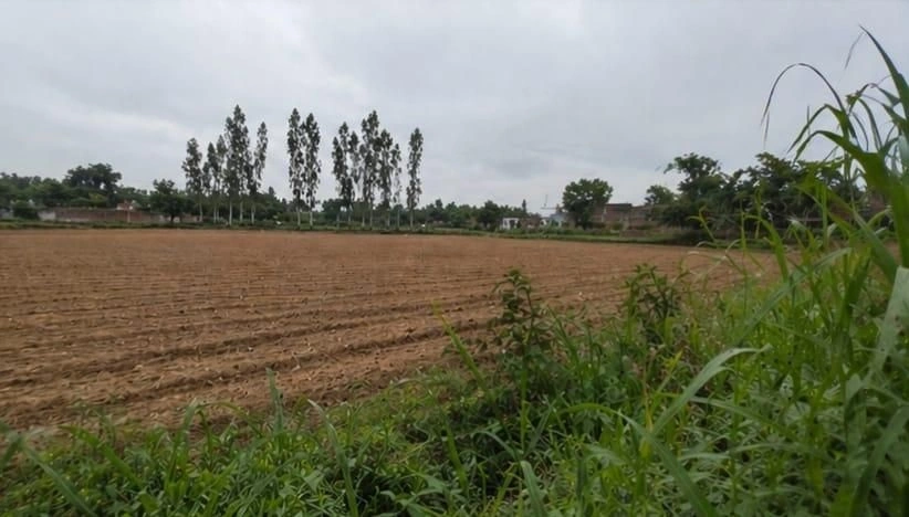 Barhana, Uttar Pradesh, India