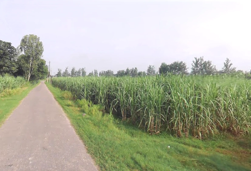 Badshahpur, Uttar Pradesh, India