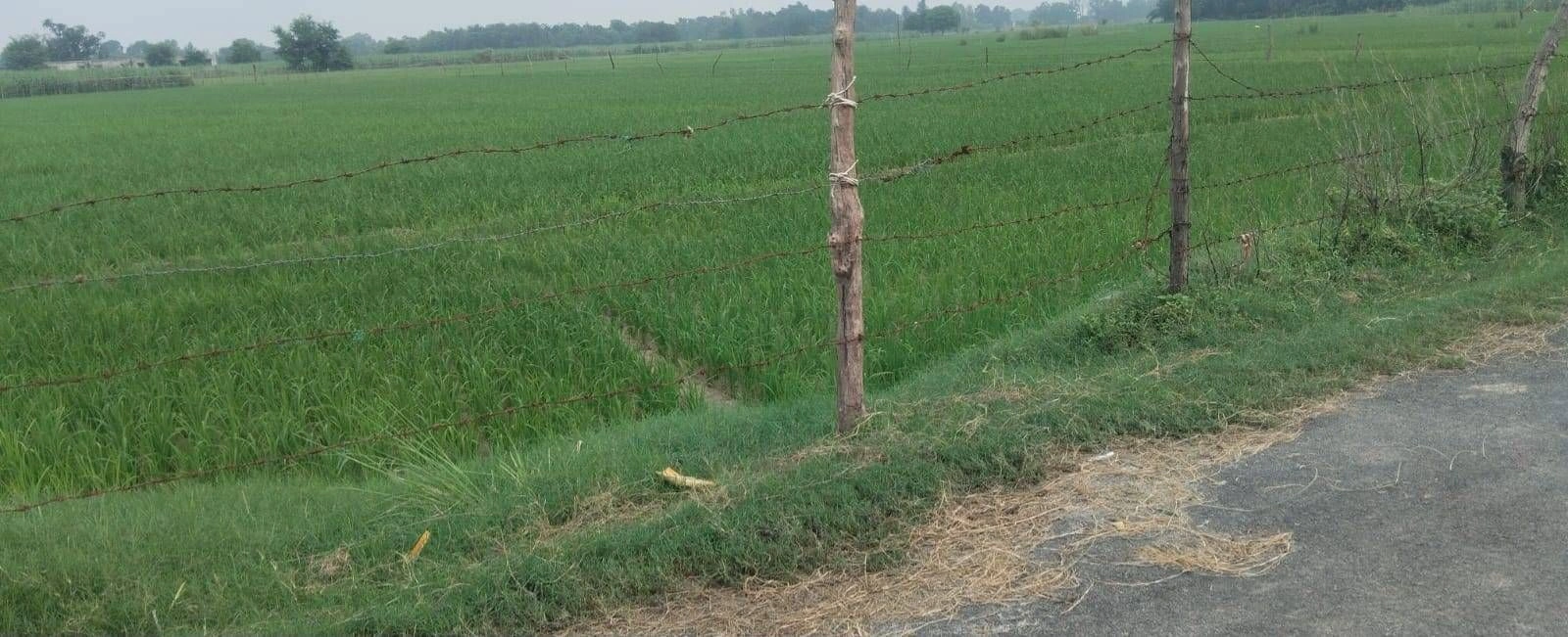 R5HX+F6 Manjha Kala, Ayodhya, Uttar Pradesh, India preview 3