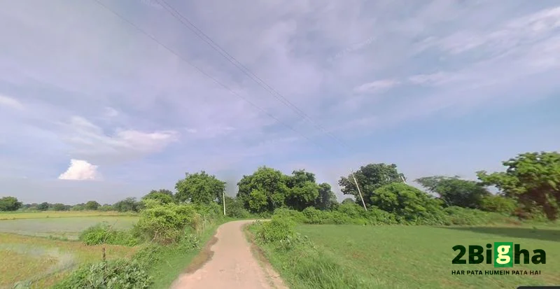 Suraiya Nagar, Madhya Pradesh, India preview 4