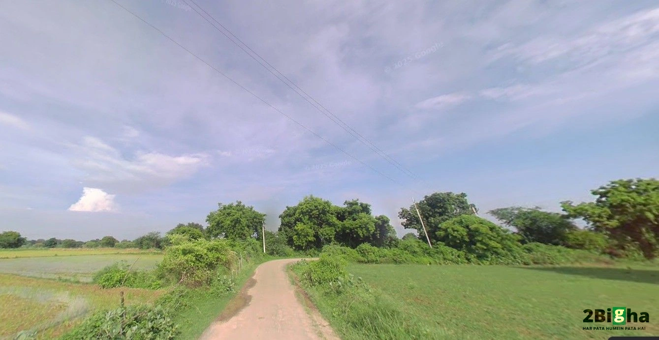 Suraiya Nagar, Madhya Pradesh, India