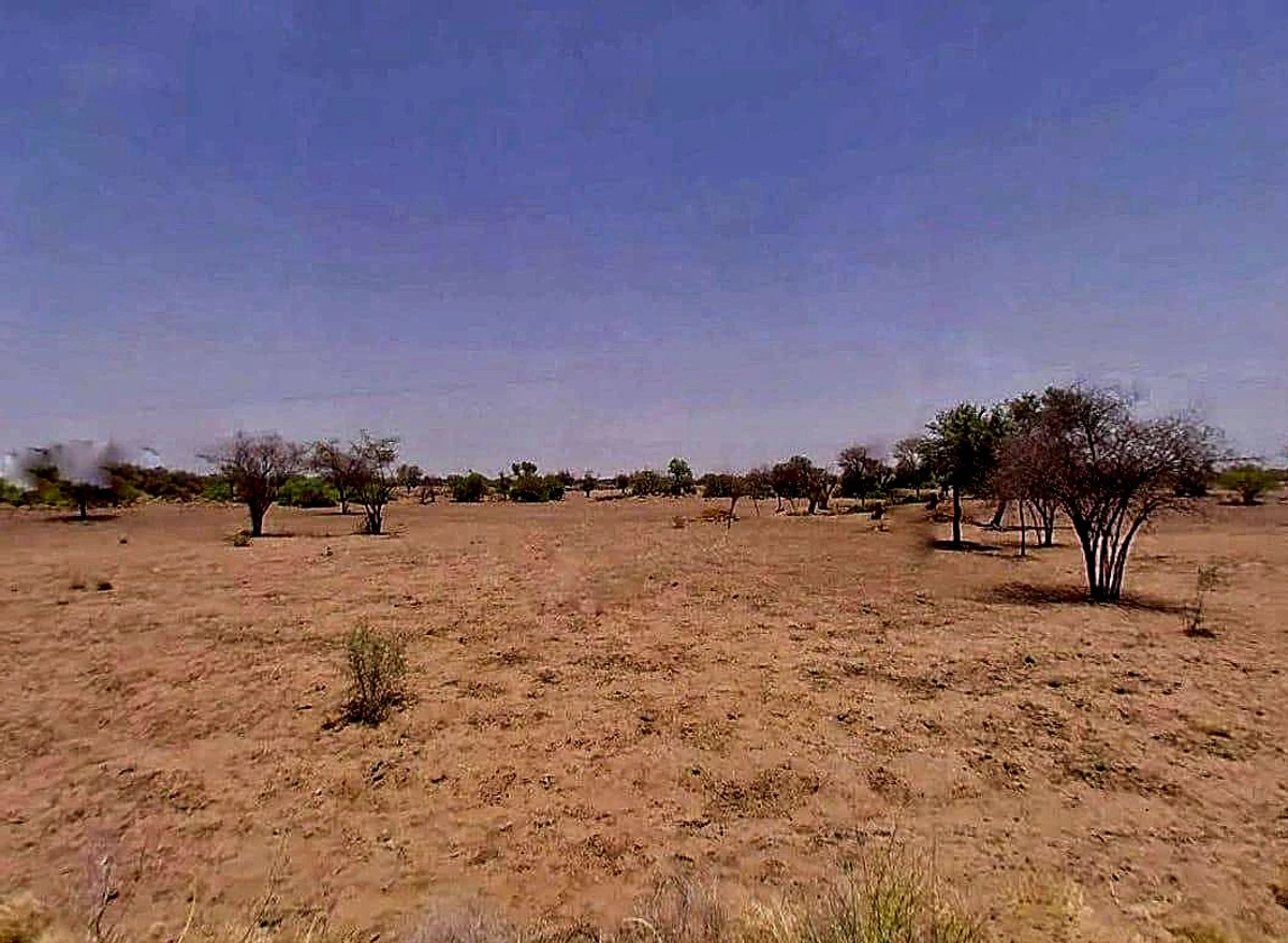 Lambra, Rajasthan, India