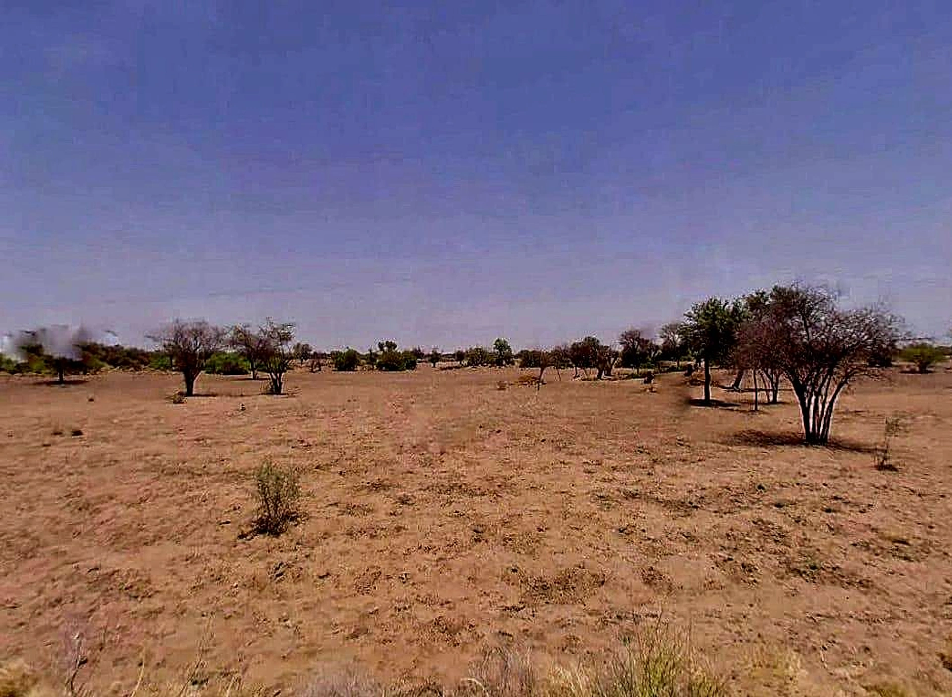 Lambra, Rajasthan, India