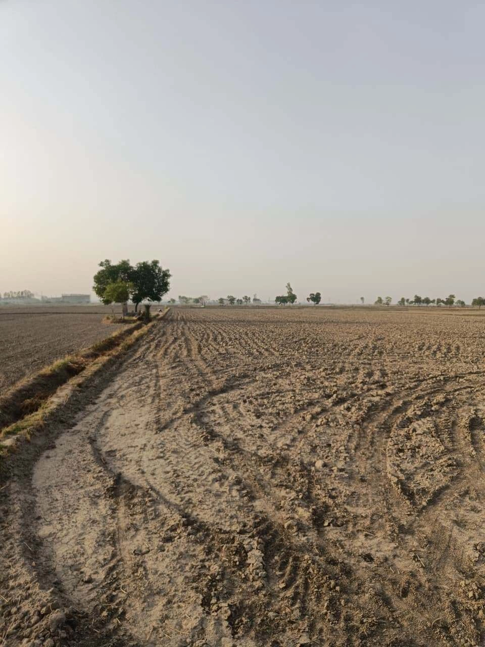 Tentigaon, Uttar Pradesh, India preview 3