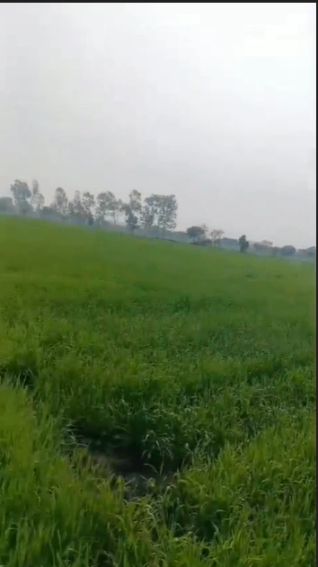 VRJV+H96, Dharampuri, Madhya Pradesh 454449, India
