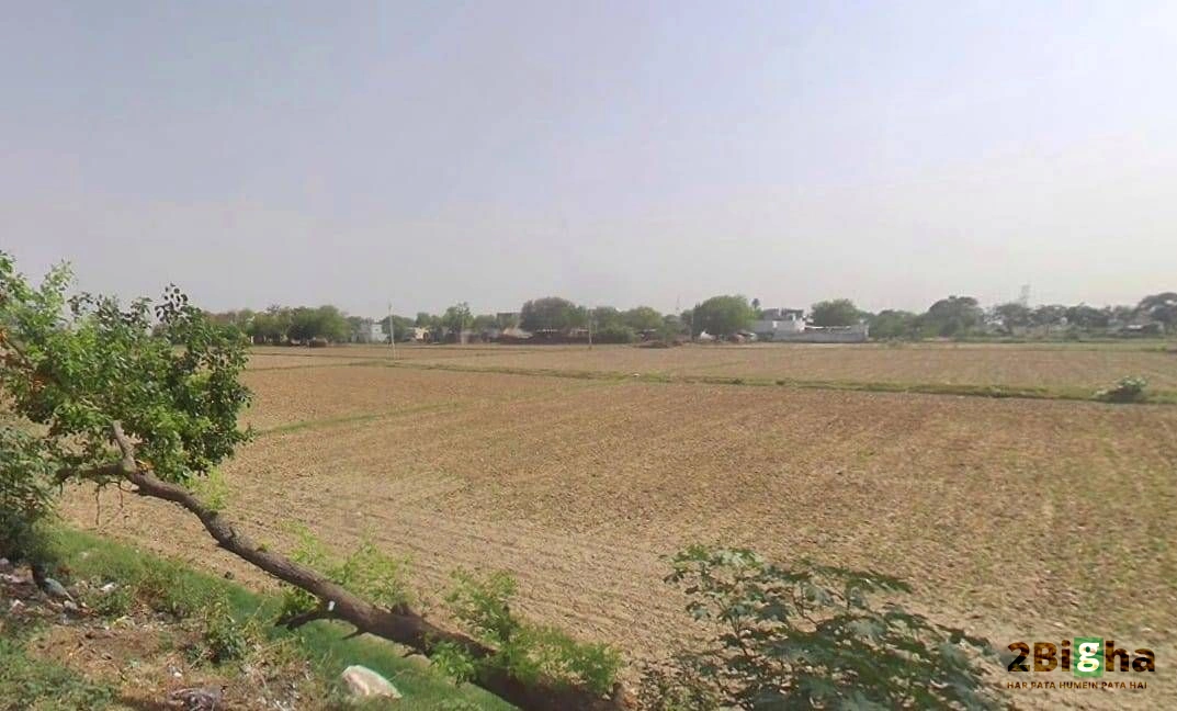 Khatauli, Uttar Pradesh 251201, India