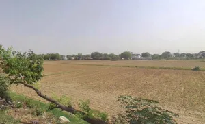 Khatauli, Uttar Pradesh 251201, India preview 3