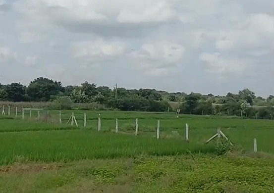 W36J+MXX, Mahabubnagar, Kuthnepalle, Telangana 509340, India