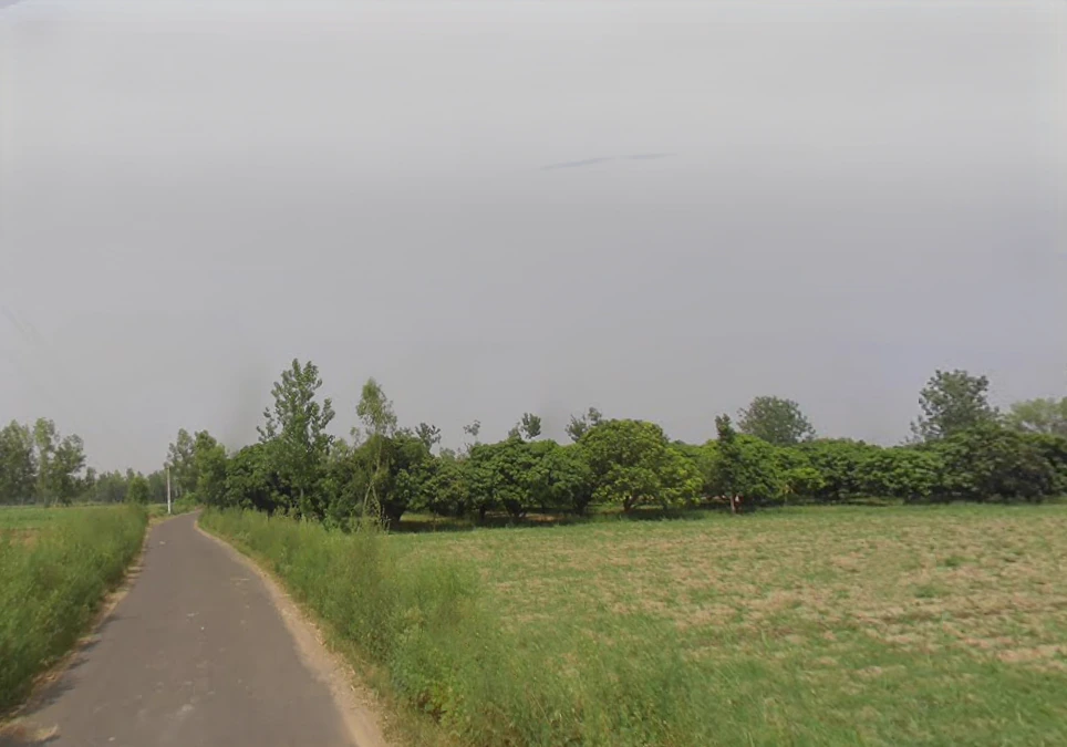 Bharolli, Uttar Pradesh 250104, India