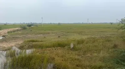 MDR 56, Kushayata, Rajasthan 311202, India preview 3