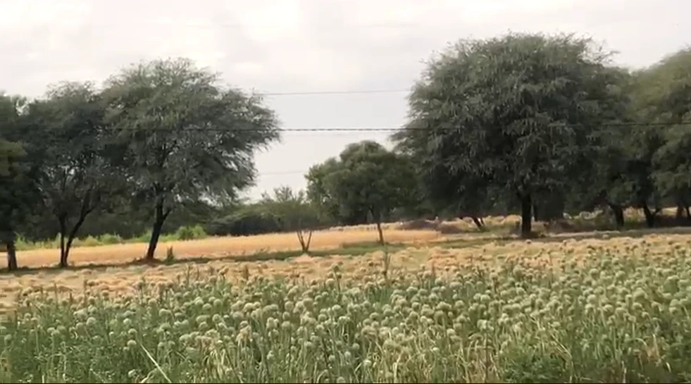 QPX8+2R, Muhana, Rajasthan 302029, India