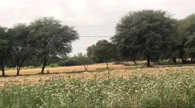 QPX8+2R, Muhana, Rajasthan 302029, India preview 2