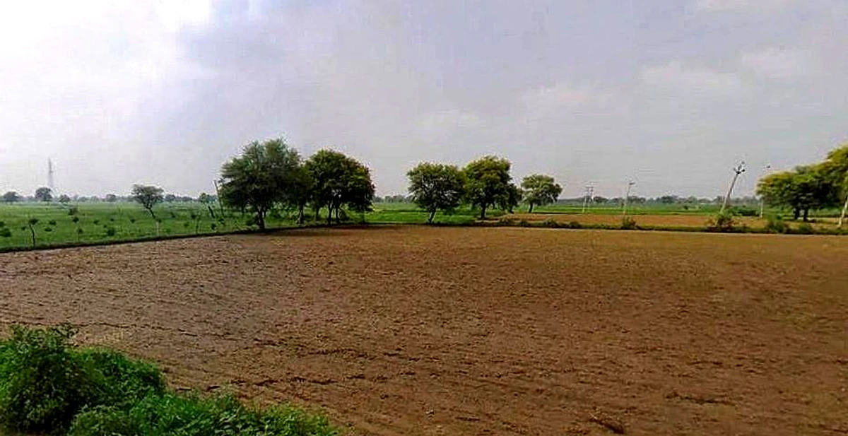 Barsana, Uttar Pradesh 281405, India