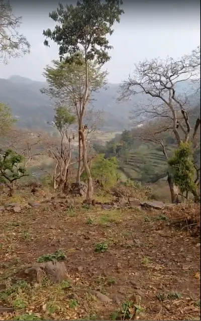 Morni Hills, Haryana, India preview 3