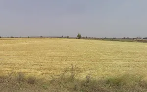 Purulia, West Bengal, India preview 2