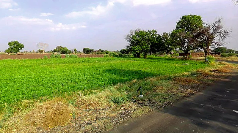 Kushalpura, Madhya Pradesh 466115, India preview 2