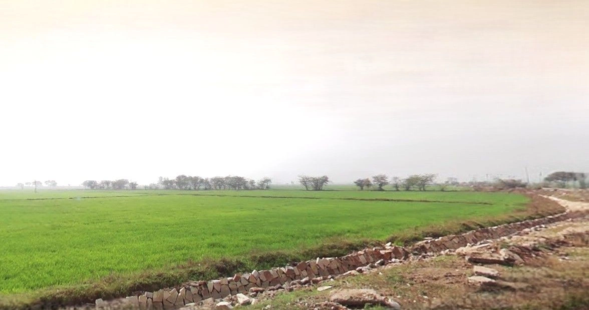 Puranpur, Uttar Pradesh 262122, India