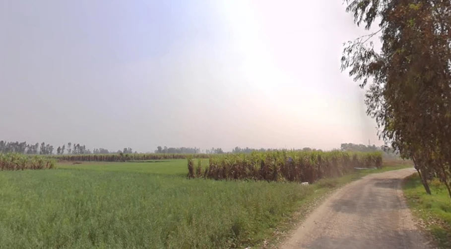 Mawana, Uttar Pradesh, India