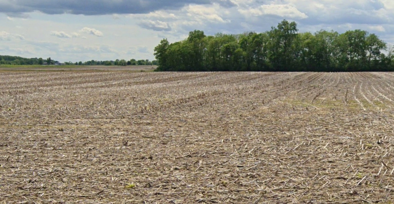 Bedavanya, Madhya Pradesh 456224, India