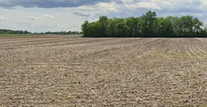 Bedavanya, Madhya Pradesh 456224, India preview 3