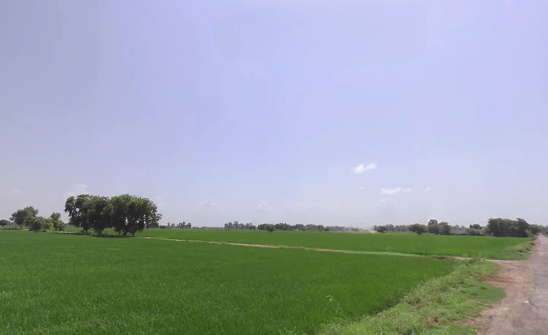 Kamala, West Bengal 721147, India