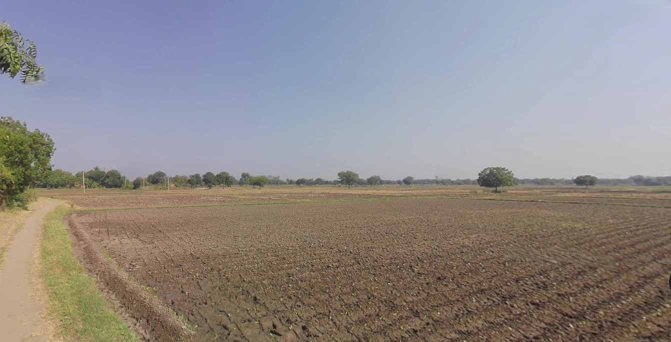 Ghaghosar, Gujarat 363421, India