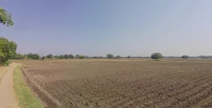 Ghaghosar, Gujarat 363421, India preview 3