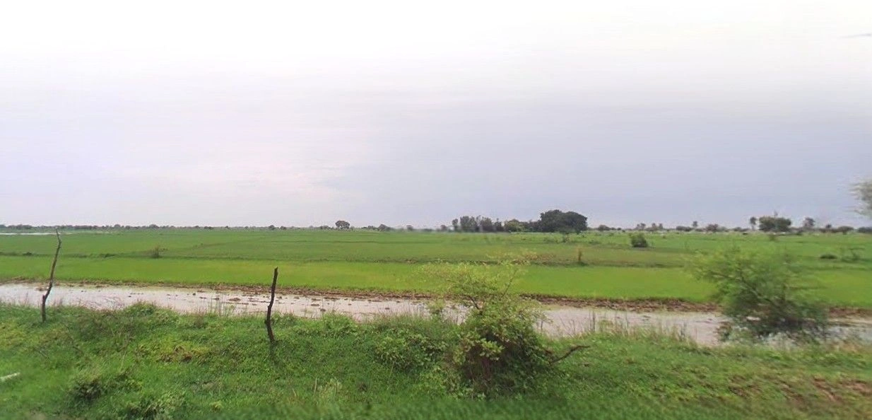 Bazpur, Uttarakhand 262401, India