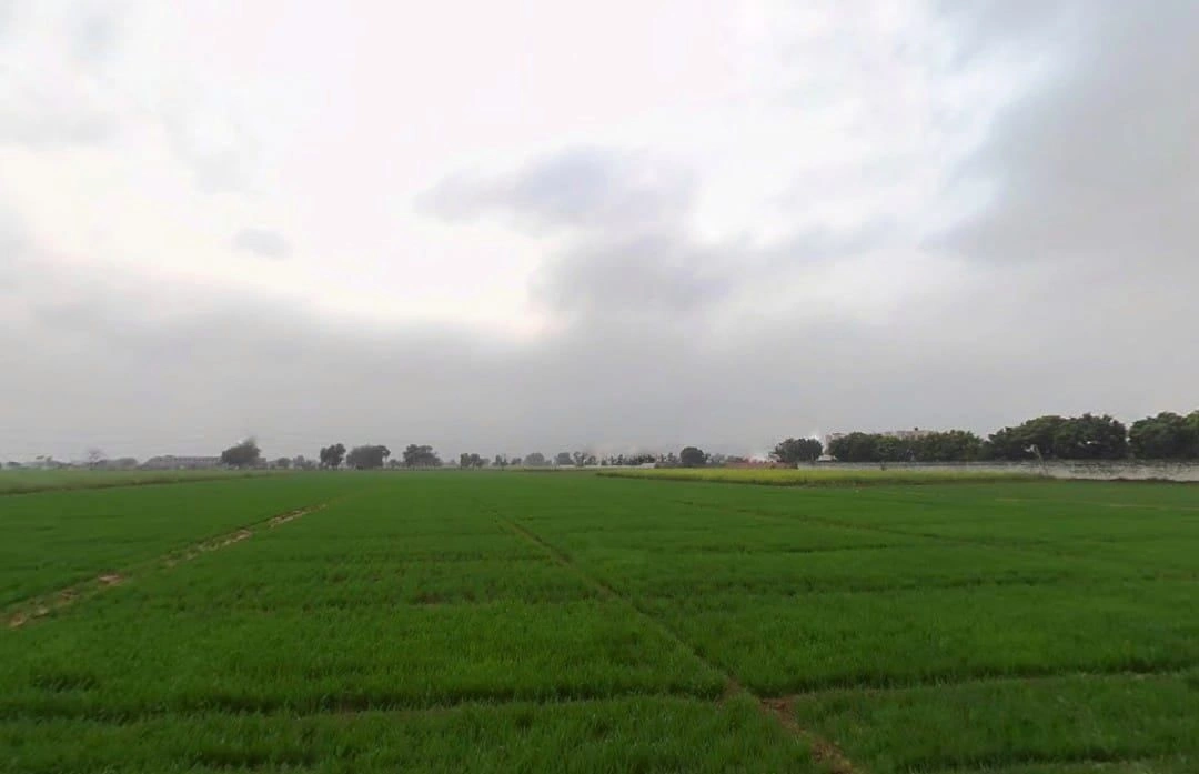 JJMV+PM7, Jahar Khera, Rajasthan 301028, India