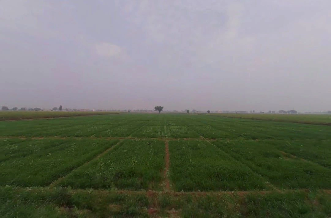 Jahar Khera, Rajasthan, India preview 2