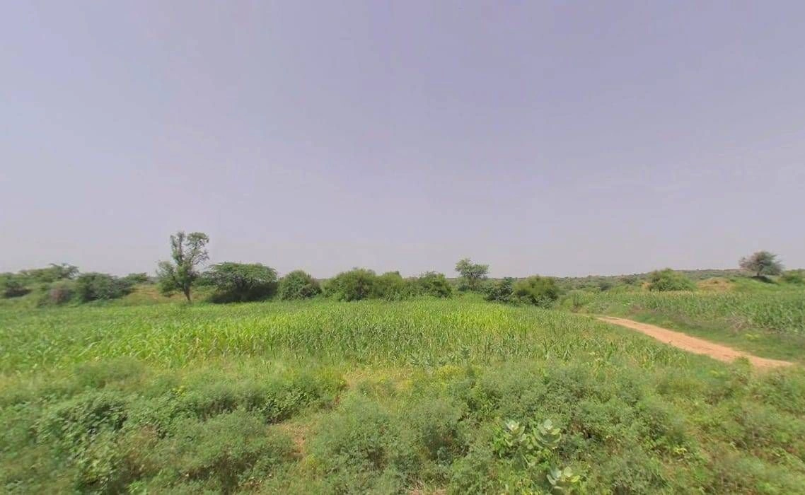 Chhichharwari, Rajasthan 321022, India preview 2