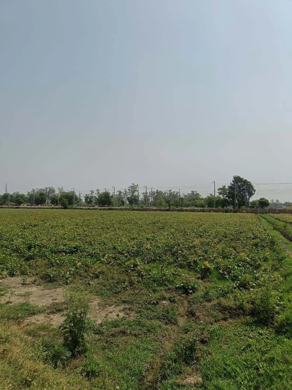 Sahar, Uttar Pradesh, India