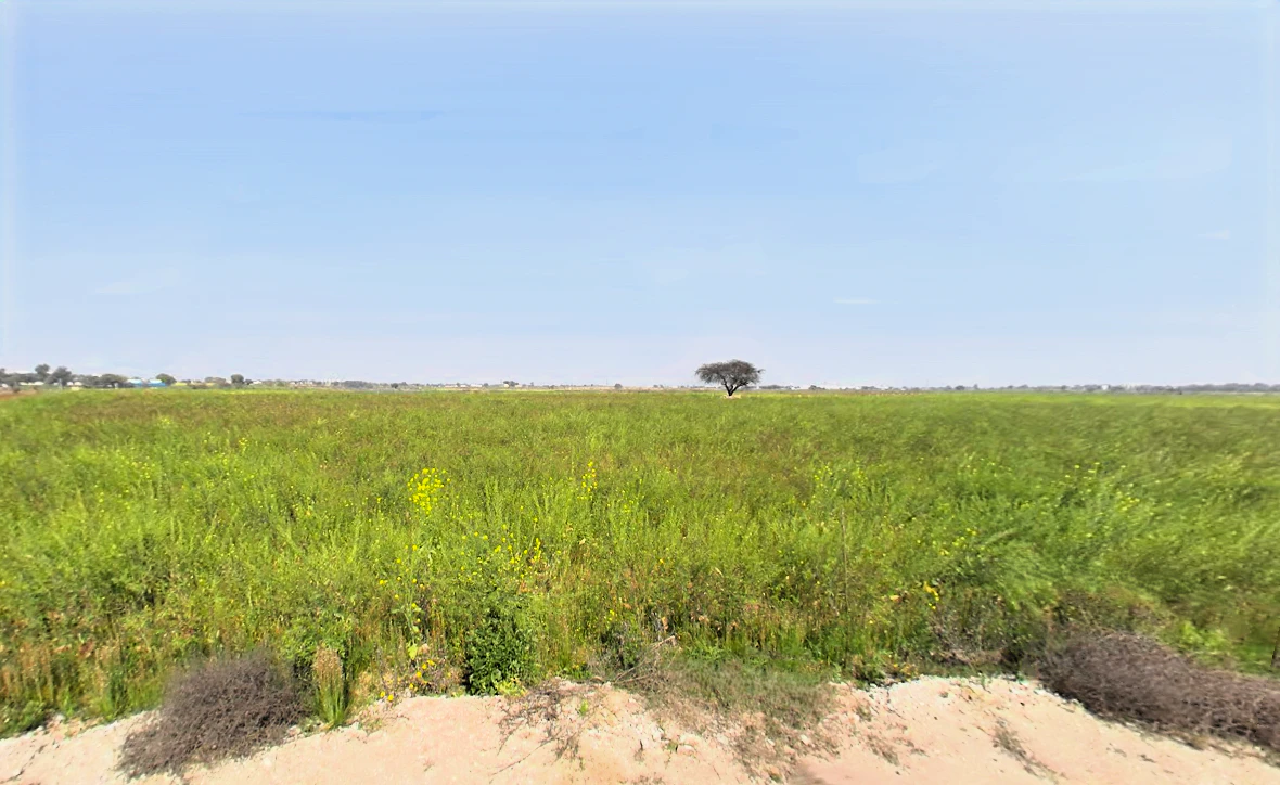 GP7H+2H5, Untloda, Haryana 124103, India