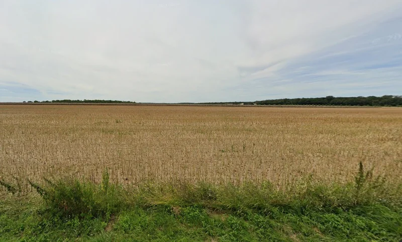 Sasabarad, Madhya Pradesh 451228, India preview 3