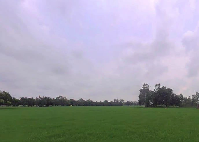 HV9J+855, Bithaura Kalan, Uttar Pradesh 262001, India