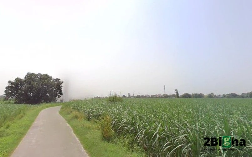 Pithlokar, Uttar Pradesh 250342, India