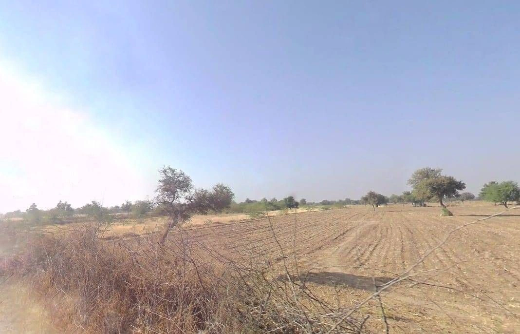 V5WM+2HV, Bandai, Rajasthan 306421, India