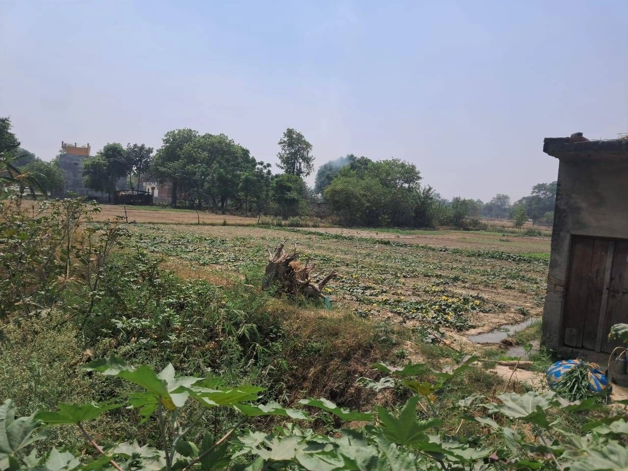 Goria, Rajasthan 332403, India