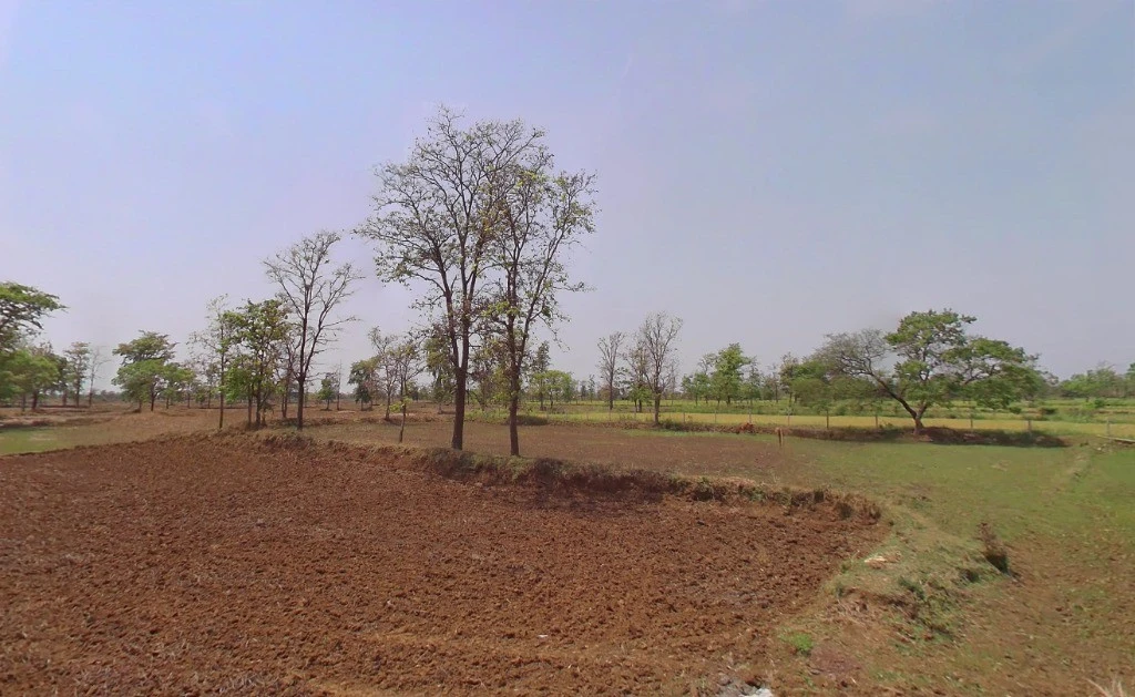 Manikchauri, Chhattisgarh 493661, India