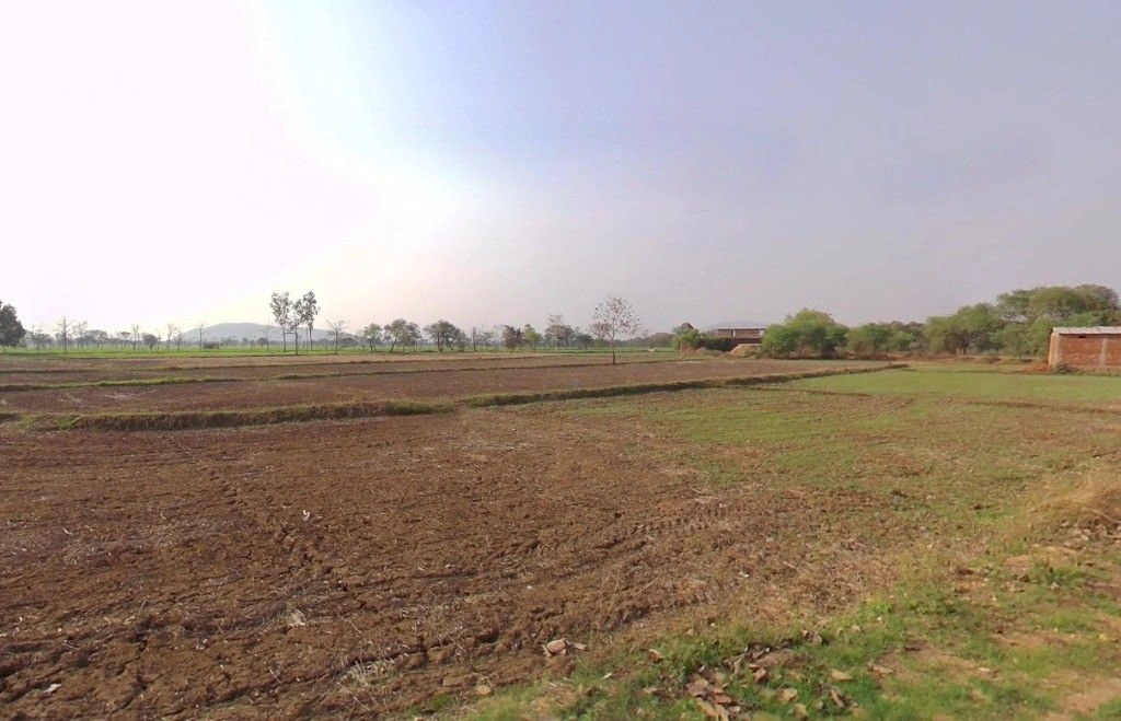 Dharsiwa, Chhattisgarh 493221, India preview 3