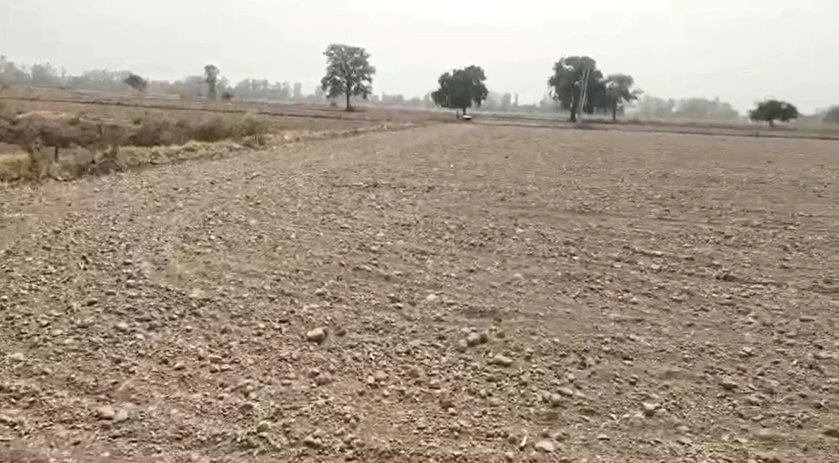 FW6C+7Q Sajiya, Tonk, Rajasthan, India