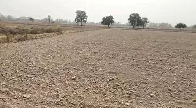 FW6C+7Q Sajiya, Tonk, Rajasthan, India preview 3