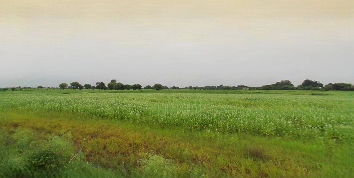 Hasanpur, Uttar Pradesh 244241, India