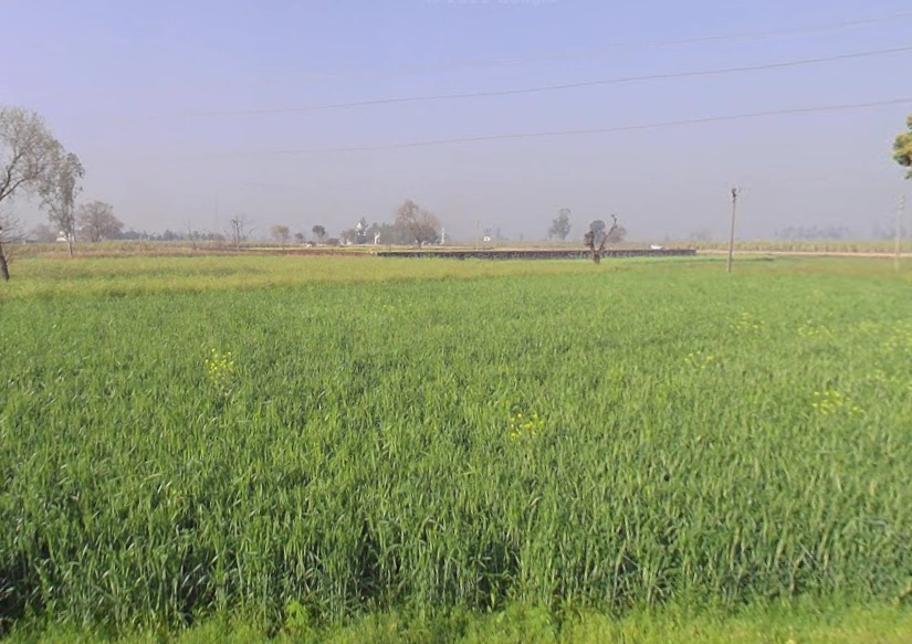 Tahsil, Bhainsa, Mawana, Uttar Pradesh 250401, India