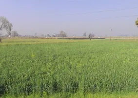 Tahsil, Bhainsa, Mawana, Uttar Pradesh 250401, India preview 3