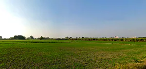 Pharala, Punjab 144503, India preview 2