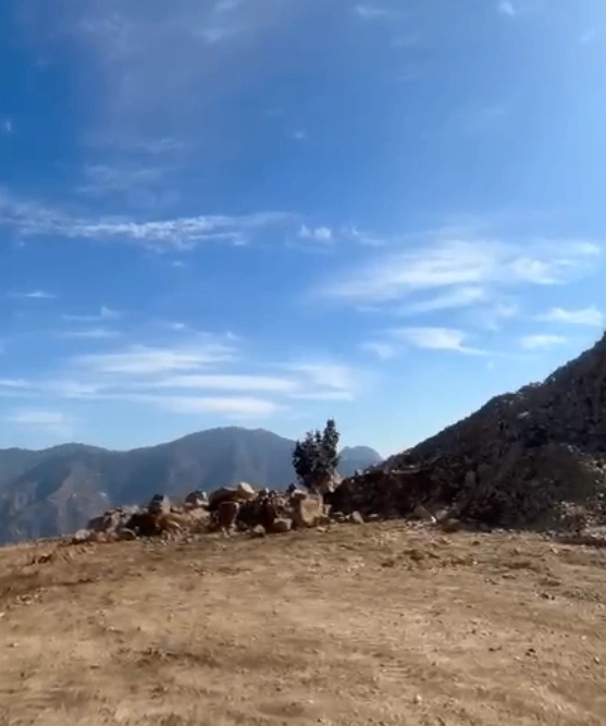 Sarauna, Uttarakhand 248013, India