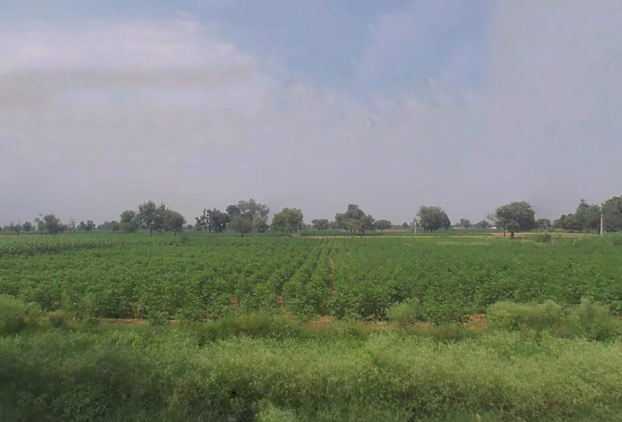 FX53+CW6, Jalooki, Rajasthan 321205, India preview 3