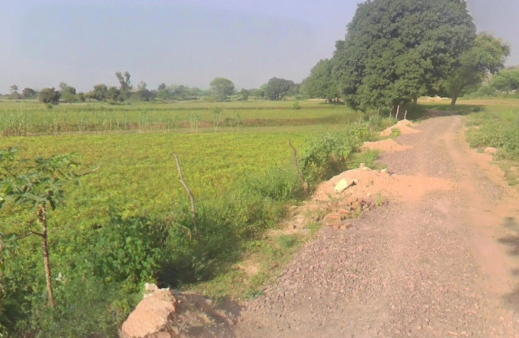 Badgaon, Chhattisgarh, India